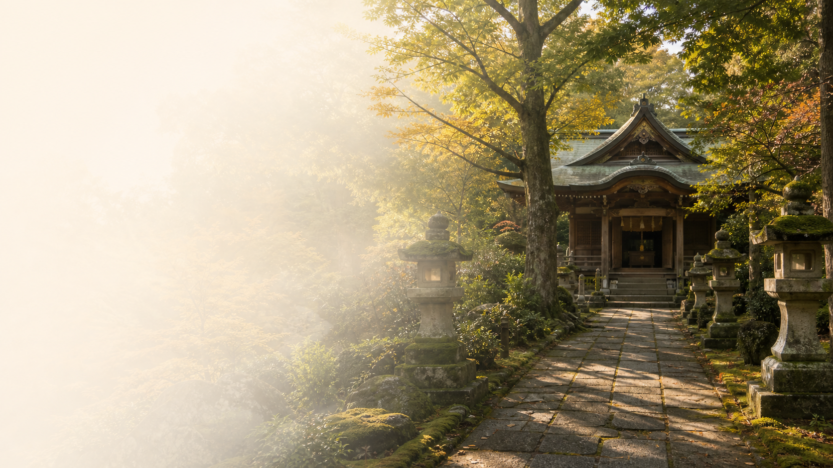 木立と石灯籠に囲まれた神社の参道と社殿